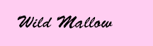 Wild Mallow